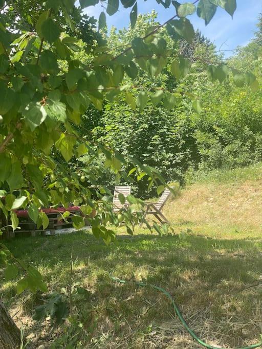 Villa Les Terrasses Dans La Nature Avec Piscine A 2 Pas De Lyon, Metro A 15Mn A Pied Pour Lyon Centre En 10Mn Ou Bus A 300M Pour Lyon Centre ウラン エクステリア 写真